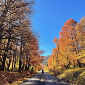 Acceso a carretera